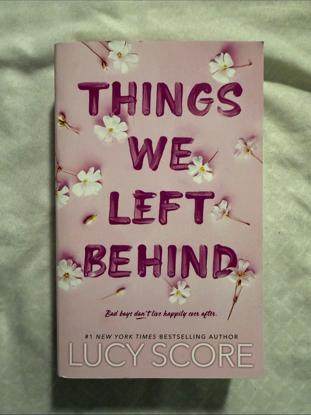 things we left behind book by lucy score